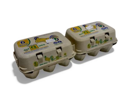 Cartón de seis huevos de Granja Avícola Aviques